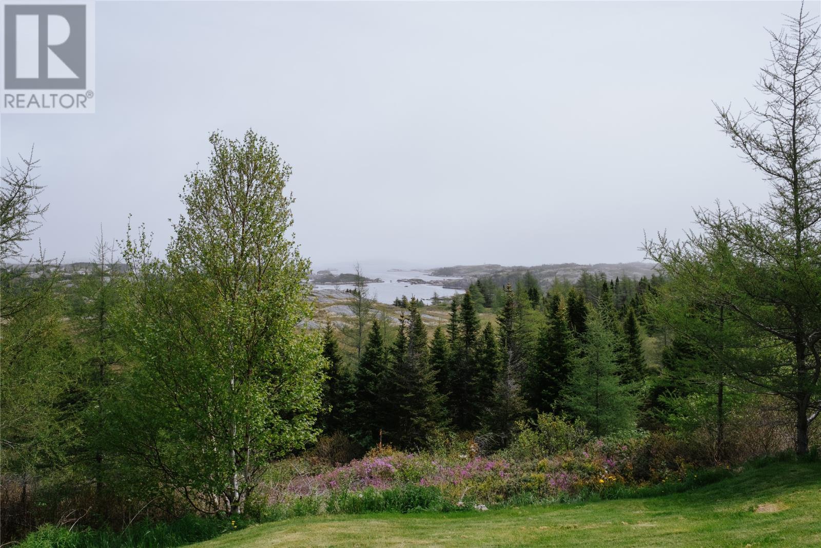 26 Main Street, New Wes Valley, NL - Outdoor With View