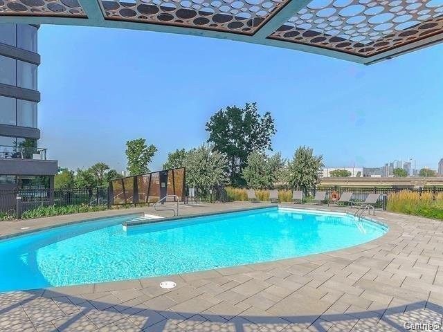 Piscine - 1103-101 Rue De La Rotonde, Montréal (Verdun/Île-Des-Soeurs), QC - Outdoor With In Ground Pool With Backyard