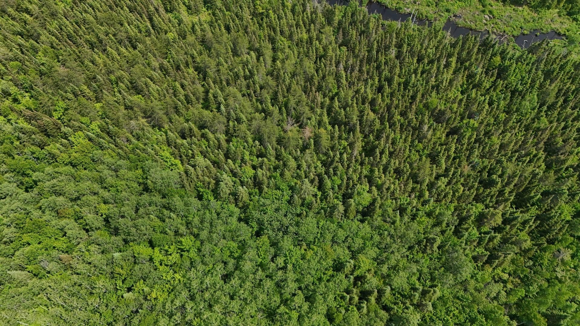 Aerial View - 7E Rang E., Saint-Joseph-De-Kamouraska, QC