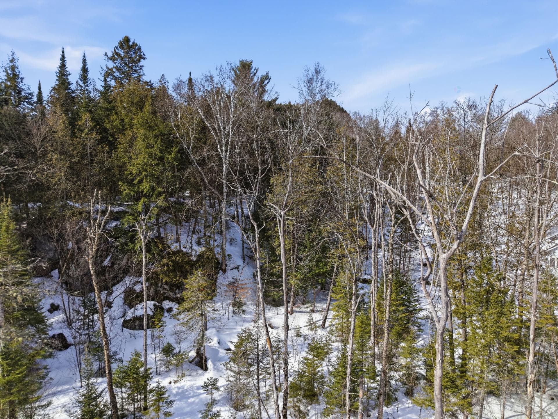 Vue d'ensemble - 3 Ch. Du Lac-Du-Brochet, Bowman, QC