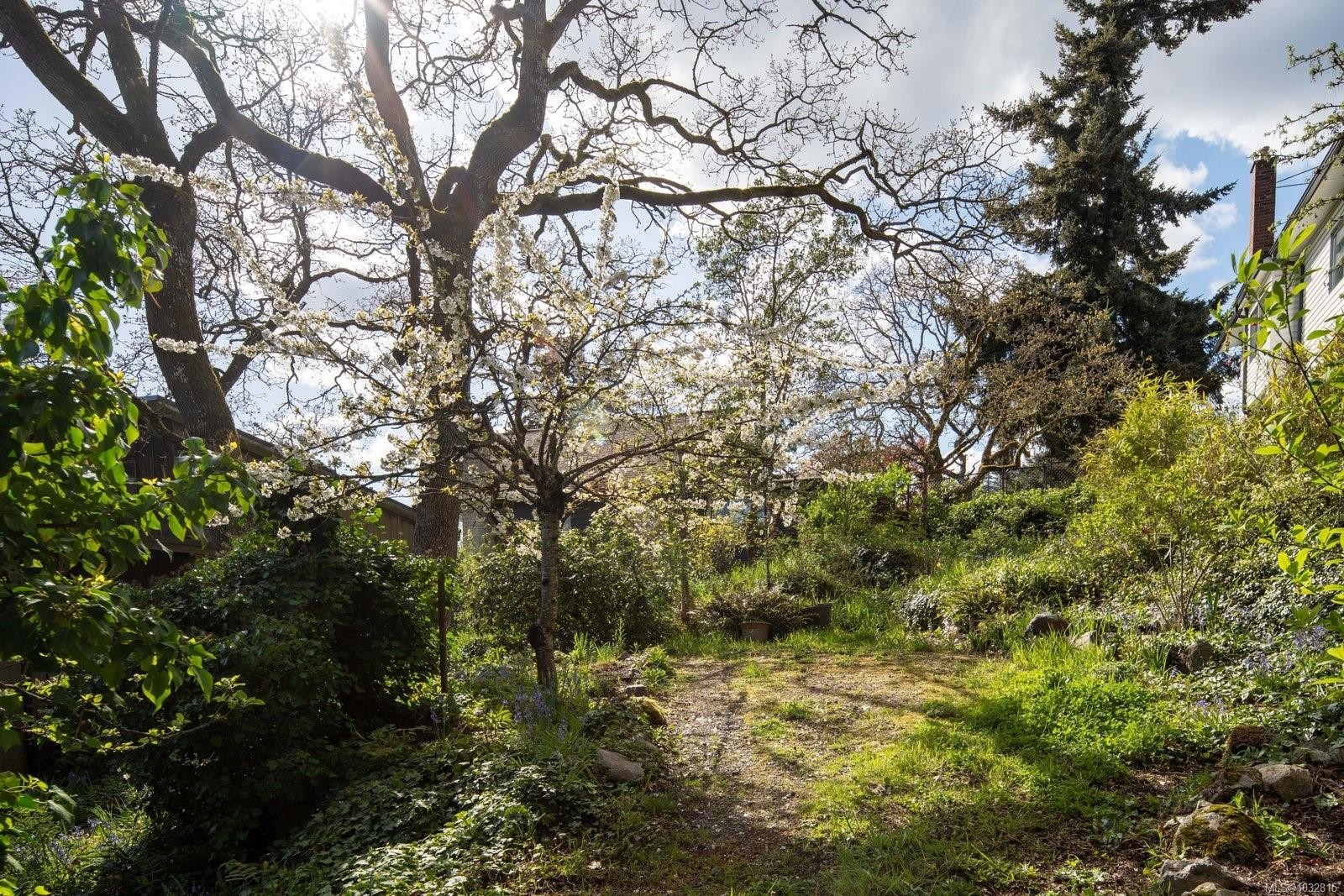 1168 Burnside Rd West, Saanich, BC