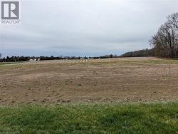 LOT 2 NORFOLK COUNTY RD 21 Delhi, ON N4B 2W4