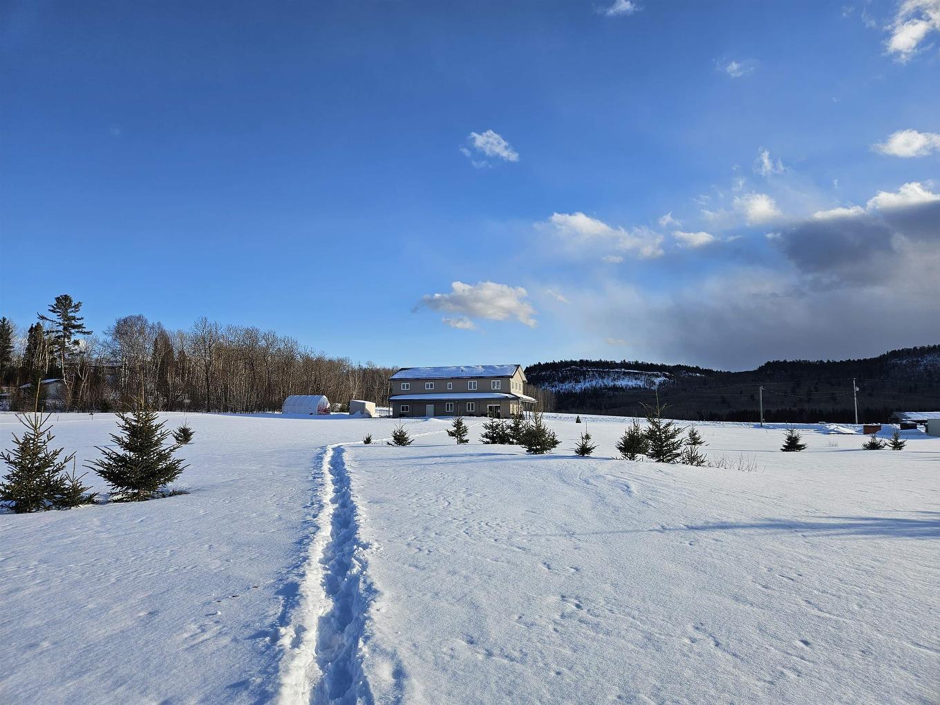 29 Oleksuk Road, Neebing, ON - Outdoor With View