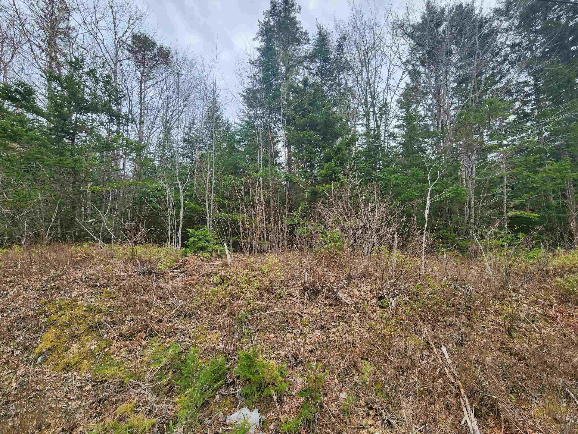 Lot Highway 340, Pleasant Valley, NS