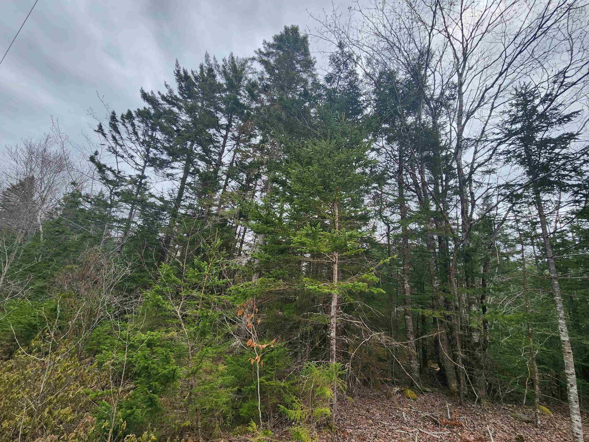 Lot Highway 340, Pleasant Valley, NS