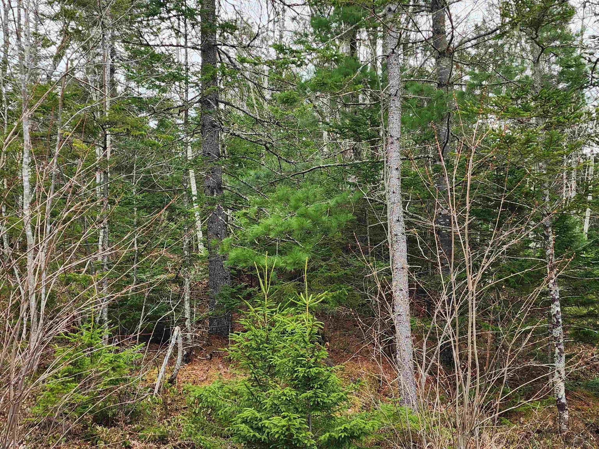 Lot Highway 340, Pleasant Valley, NS