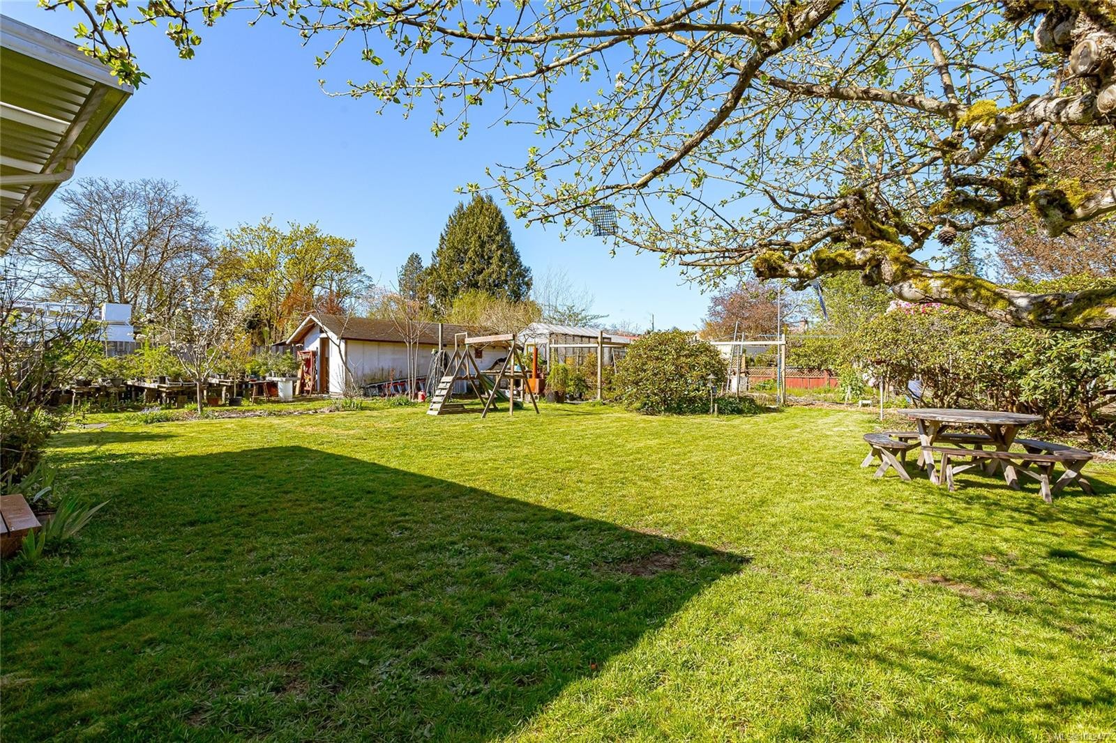 377 Campbell St, Duncan, BC