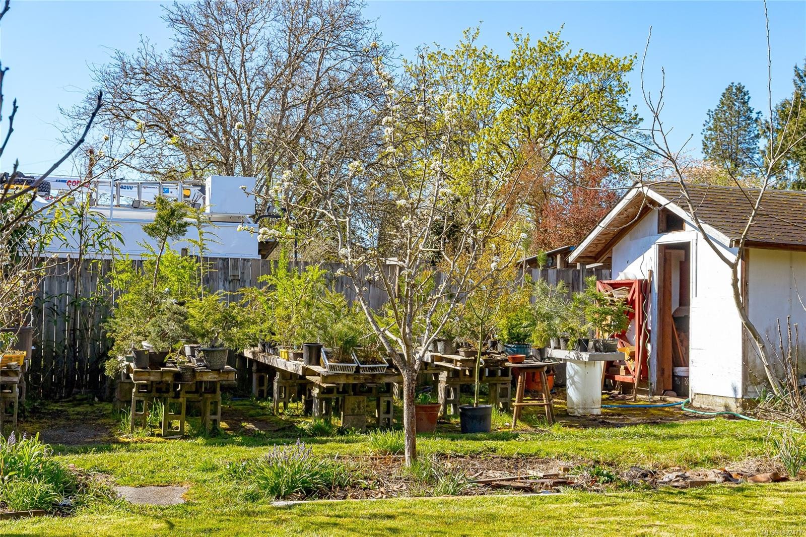 377 Campbell St, Duncan, BC