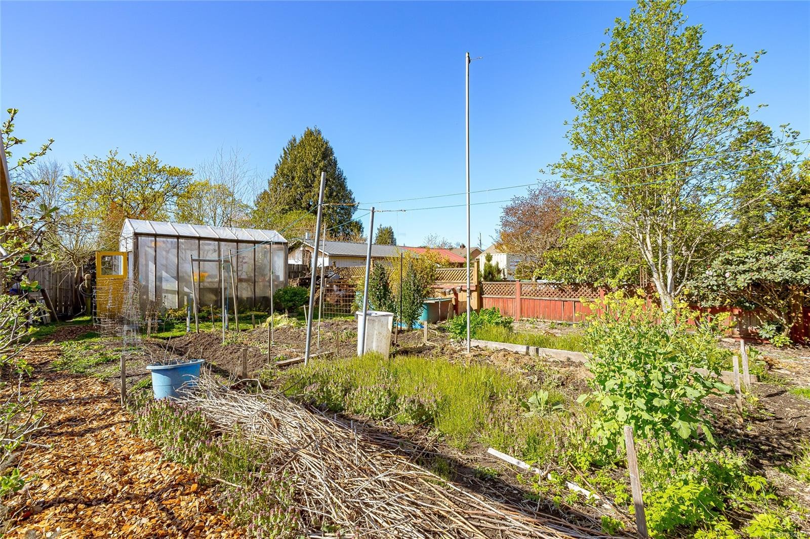 377 Campbell St, Duncan, BC