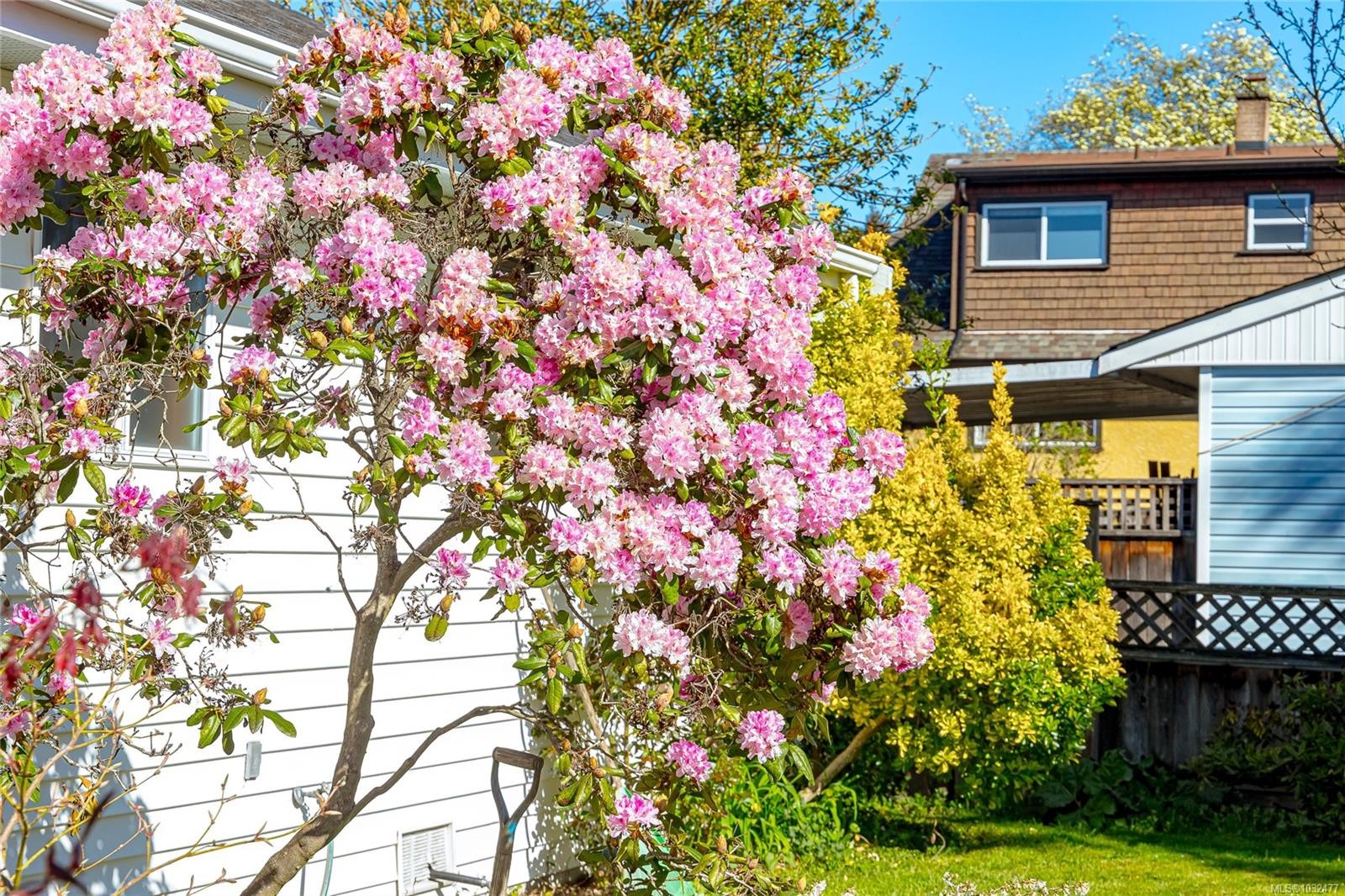 377 Campbell St, Duncan, BC