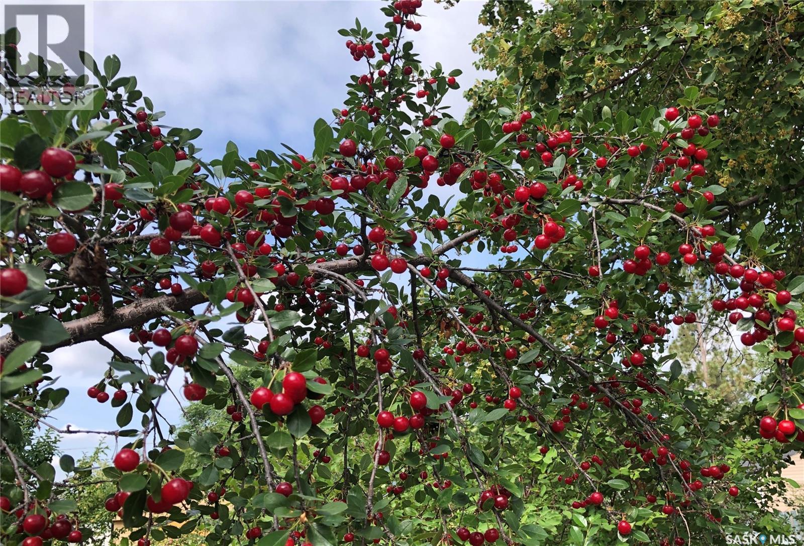 230 Baker Place, Saskatoon, SK - Outdoor