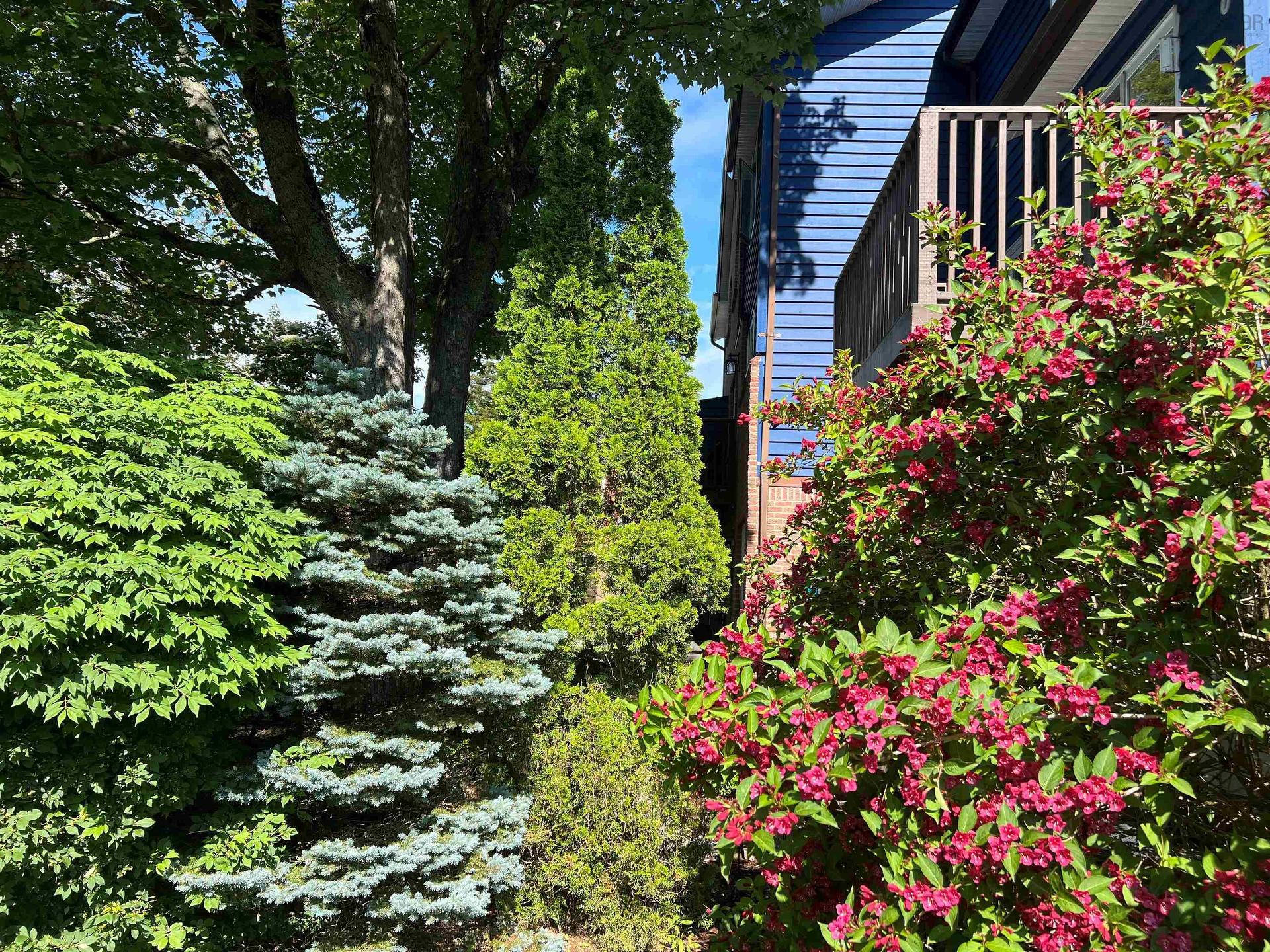 40 Attenborough Court, Halifax, NS