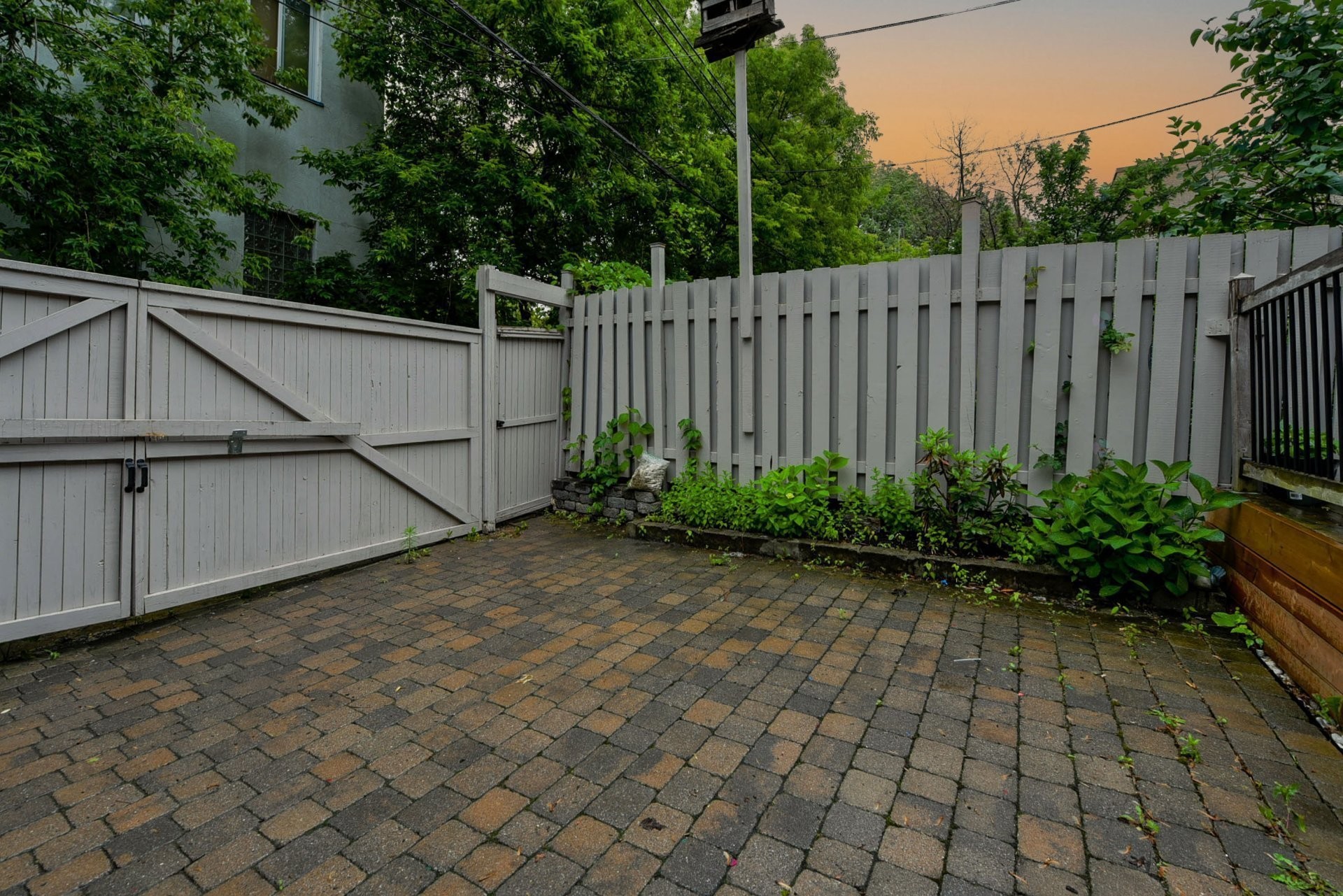 Courtyard - 6067 Rue Waverly, Montréal (Le Plateau-Mont-Royal), QC - Outdoor