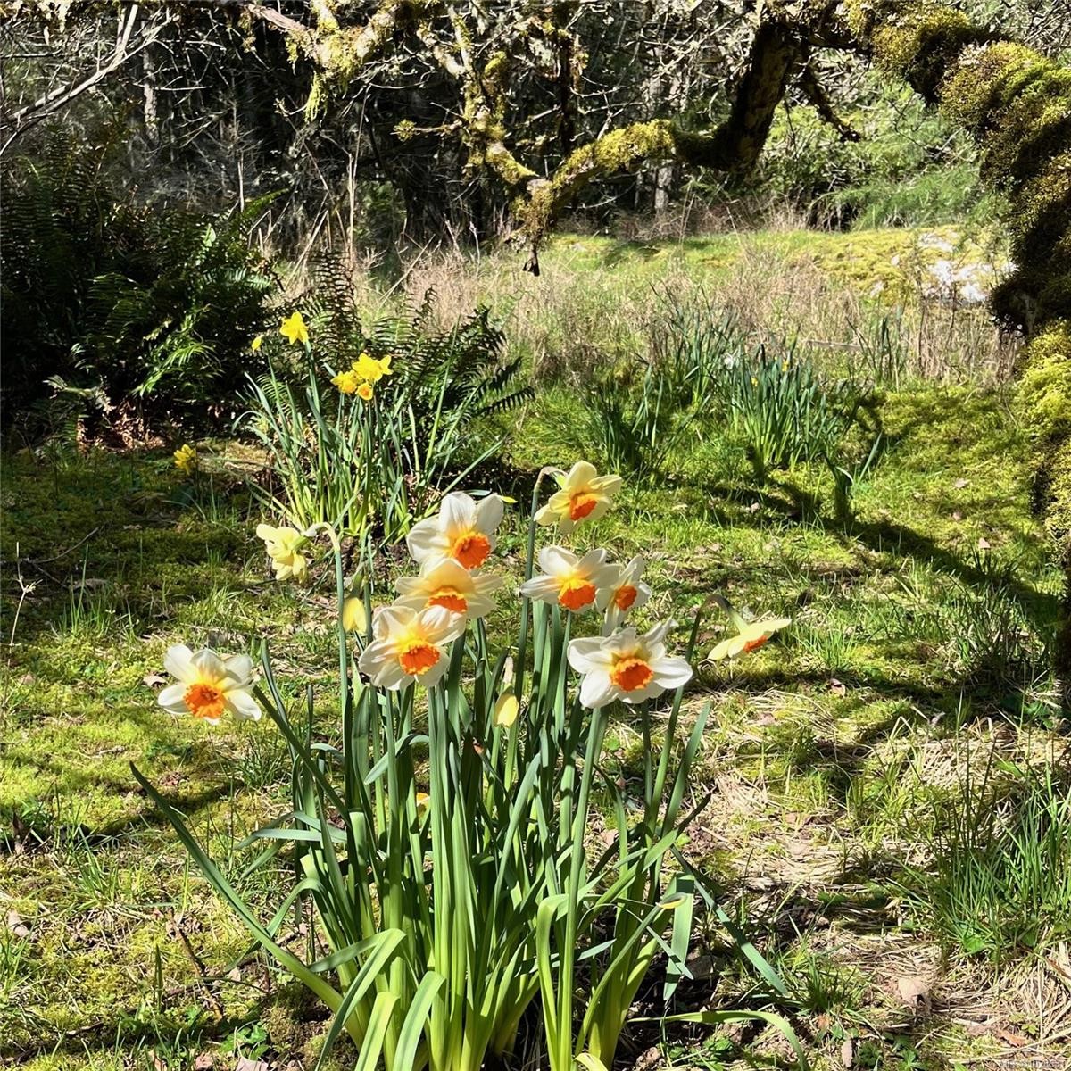 99 Garner Rd, Salt Spring, BC