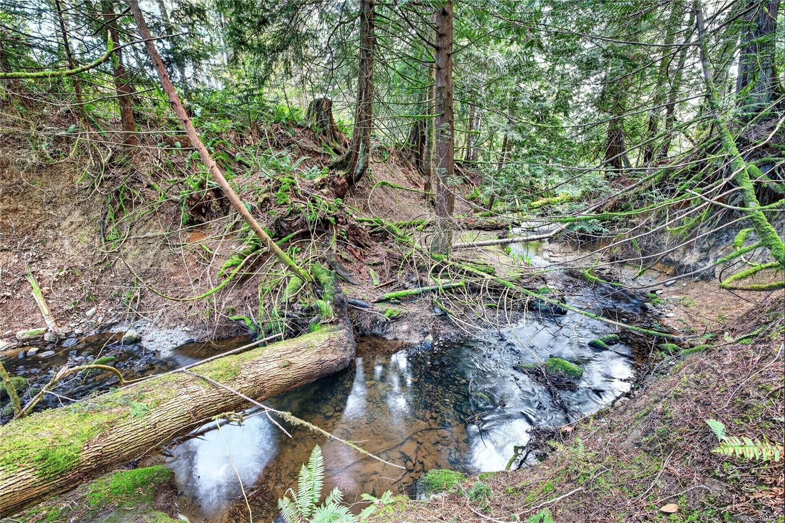 99 Garner Rd, Salt Spring, BC