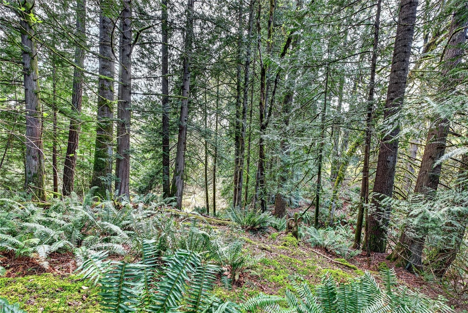 99 Garner Rd, Salt Spring, BC