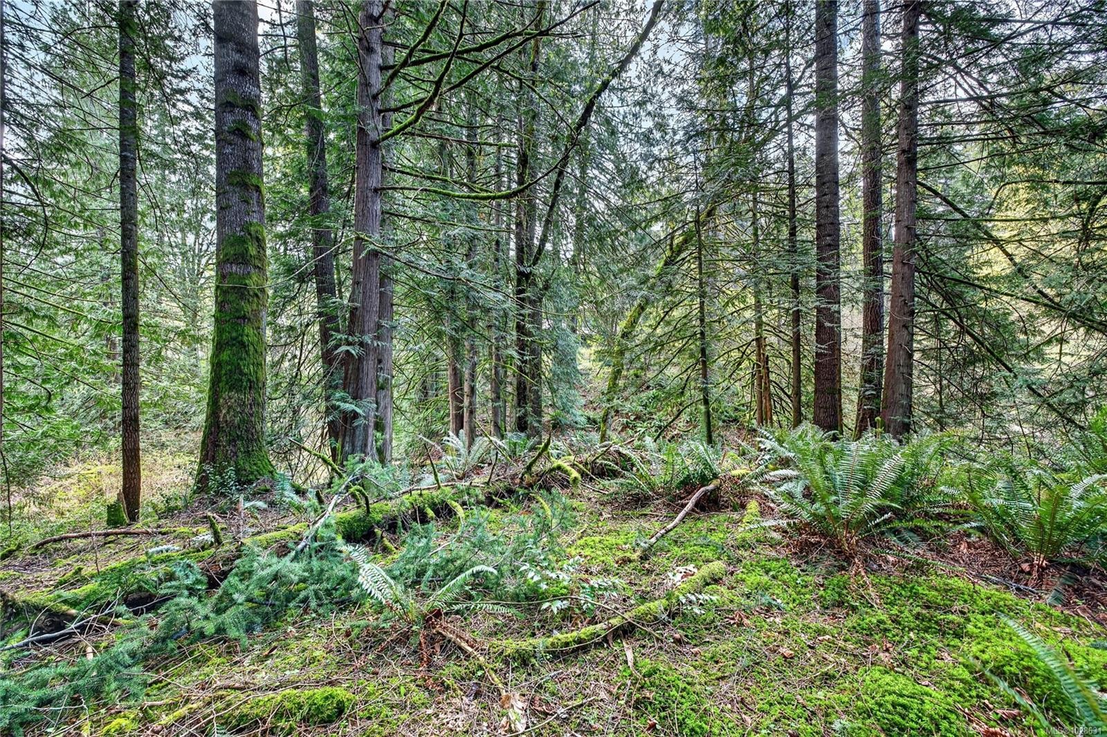 99 Garner Rd, Salt Spring, BC