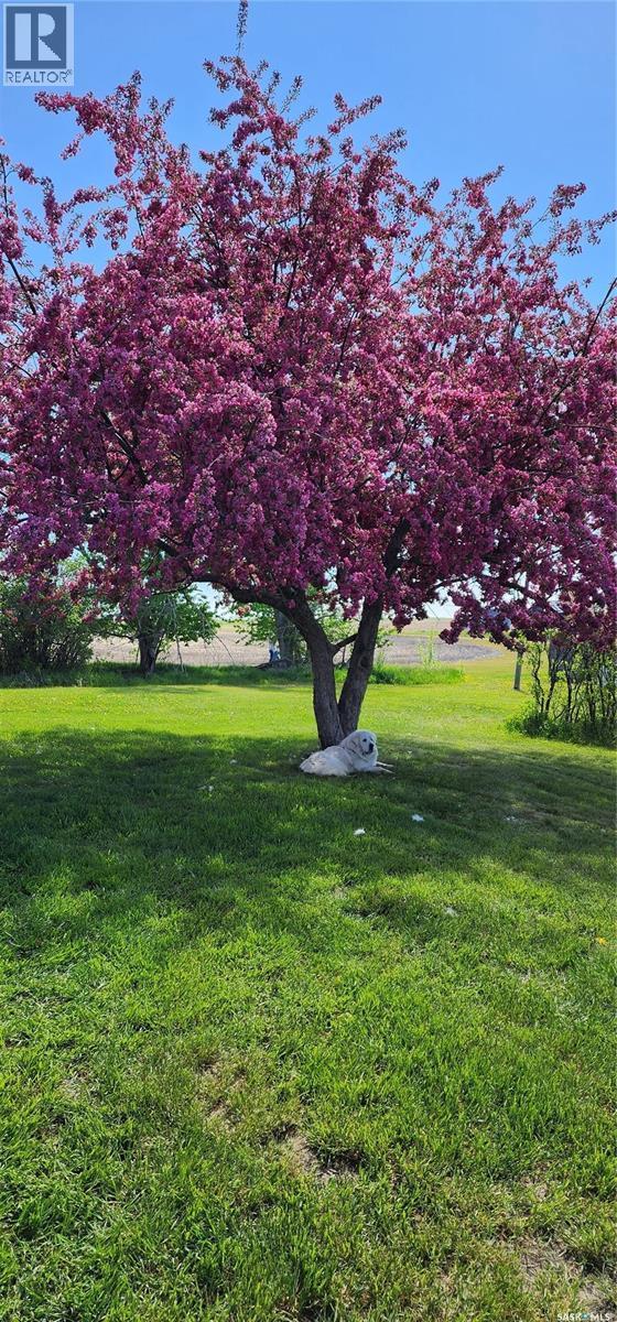 Key West Quarter, Ogema, SK - Outdoor