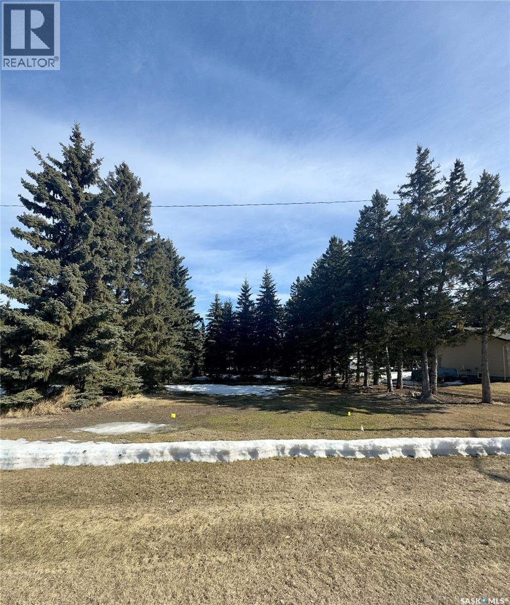 315 2Nd Street, Waldheim, SK