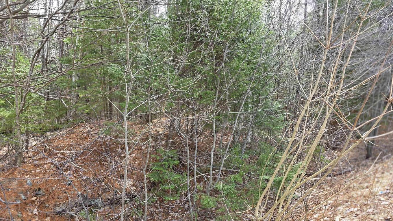 169 Salmon River Drive, Westphal, NS