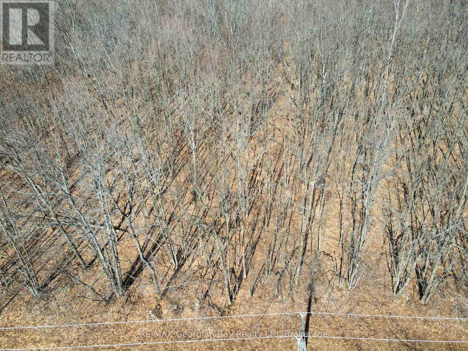 Lot 33 Macavalley Road, Tiny, ON