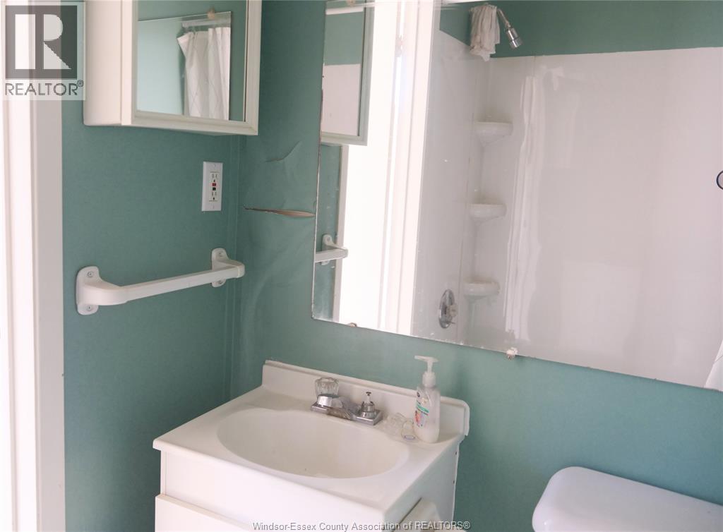 1050 Drouillard, Windsor, ON - Indoor Photo Showing Bathroom