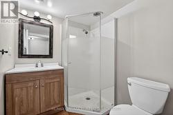 Lower Level Bathroom -