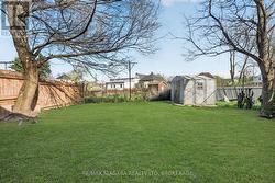 Backyard -