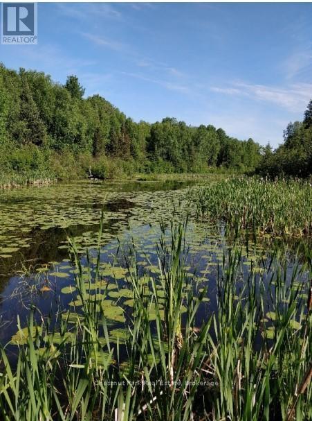 445 Fox Run, Temagami, ON