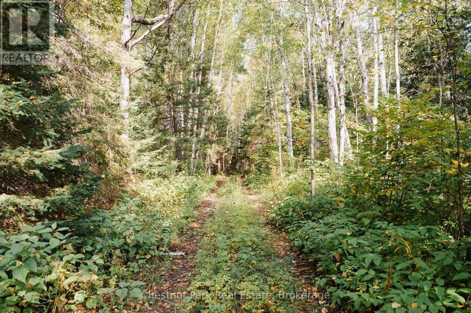 445 Fox Run, Temagami, ON