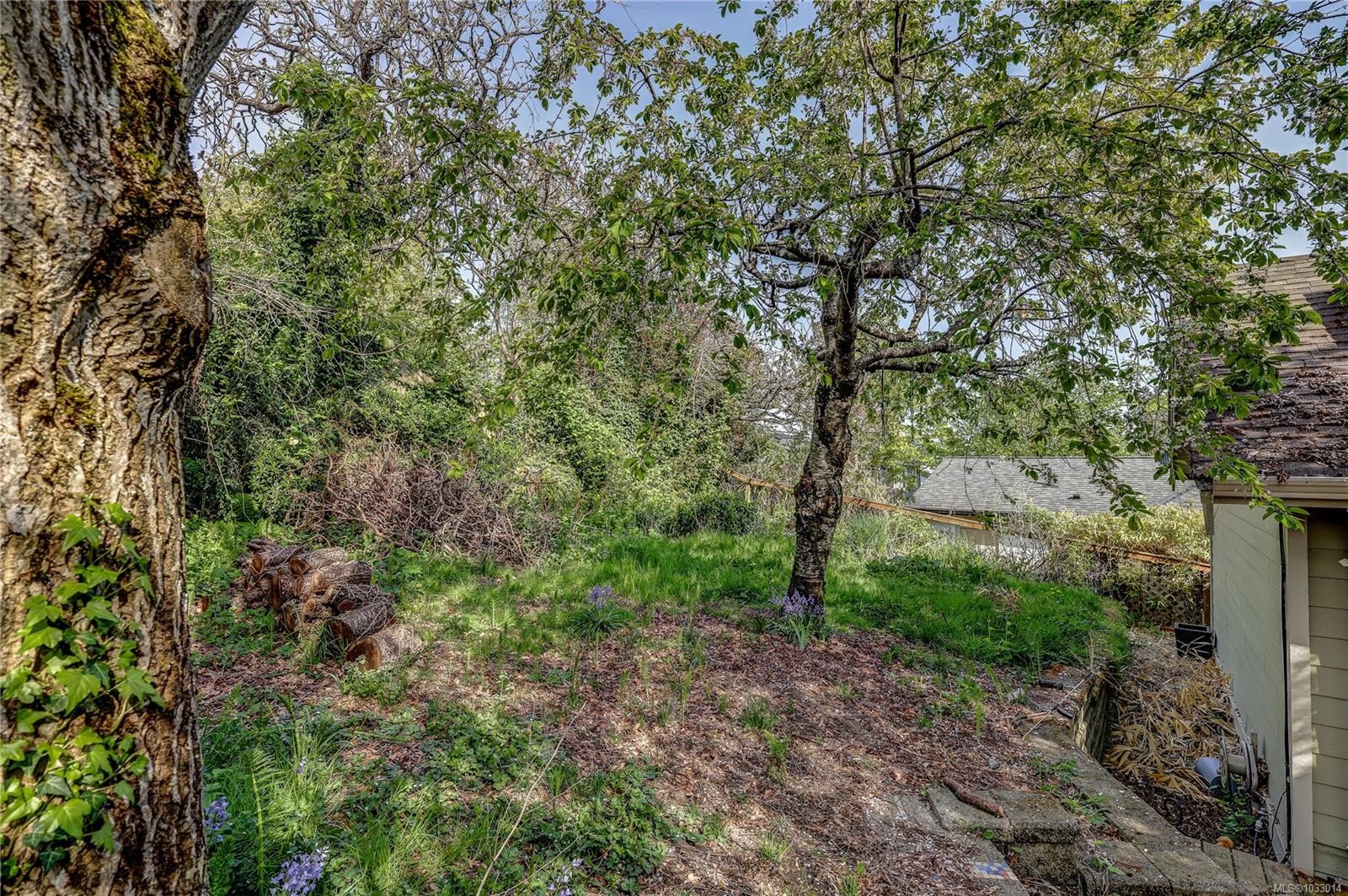 1361 Discovery Ave, Nanaimo, BC