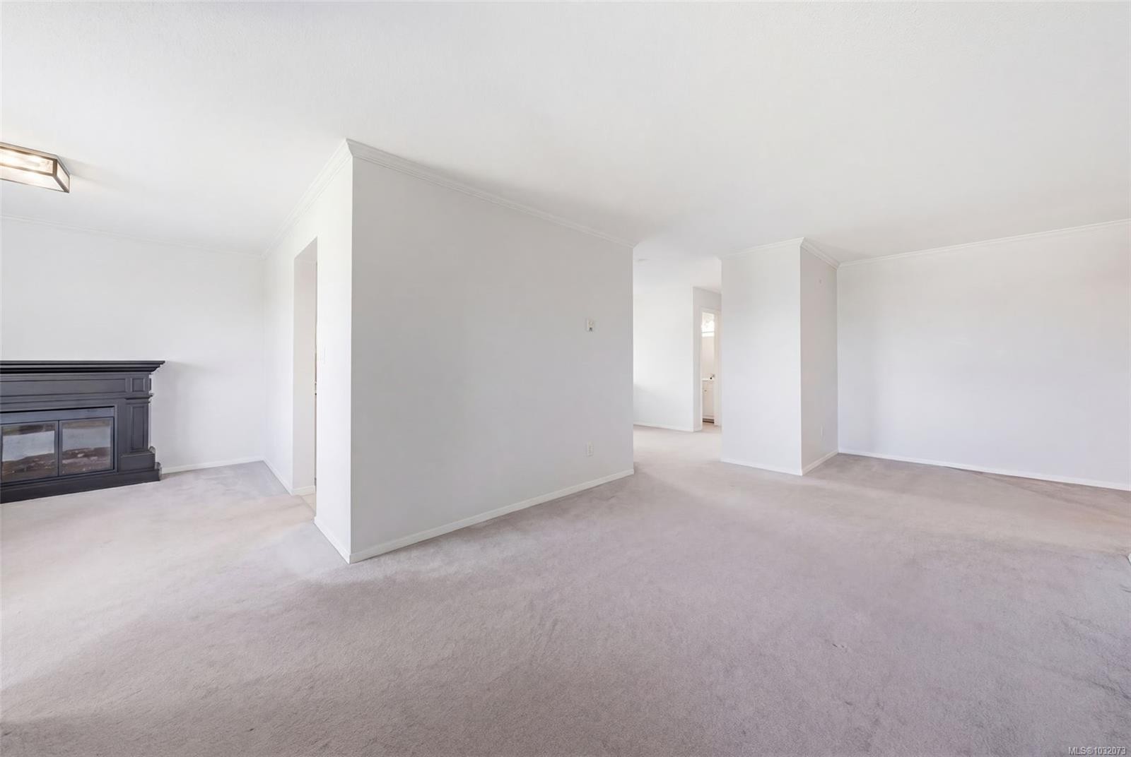 308-103 Gorge Rd East, Victoria, BC - Indoor With Fireplace