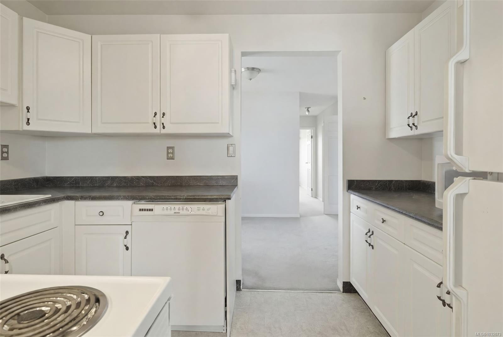 308-103 Gorge Rd East, Victoria, BC - Indoor Photo Showing Kitchen