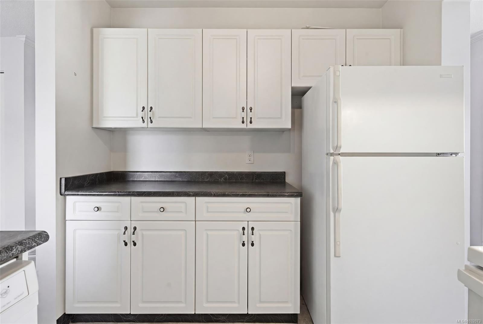 308-103 Gorge Rd East, Victoria, BC - Indoor Photo Showing Kitchen