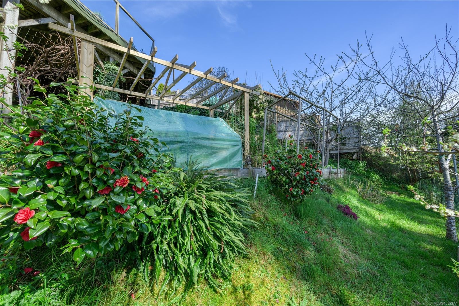321 Harbour Rd, Coal Harbour, BC