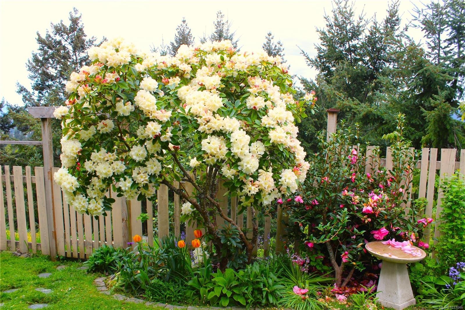 6246 Lower Chippewa Rd, Duncan, BC