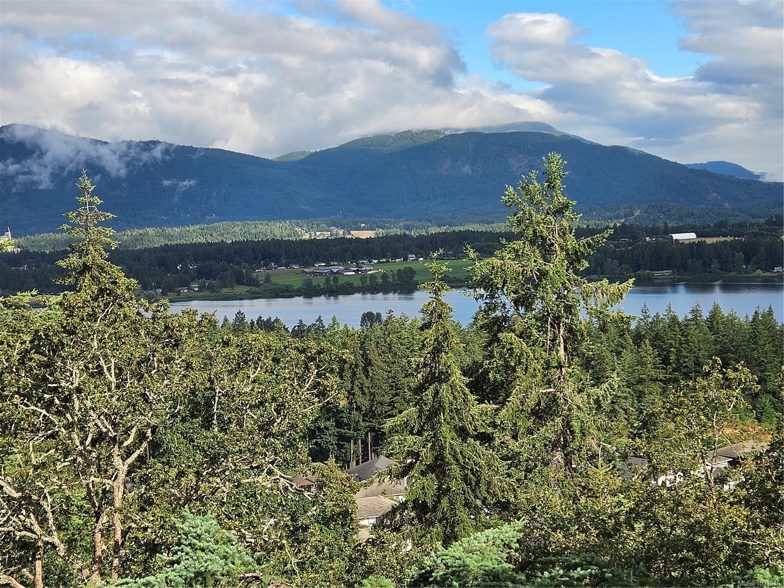 6246 Lower Chippewa Rd, Duncan, BC