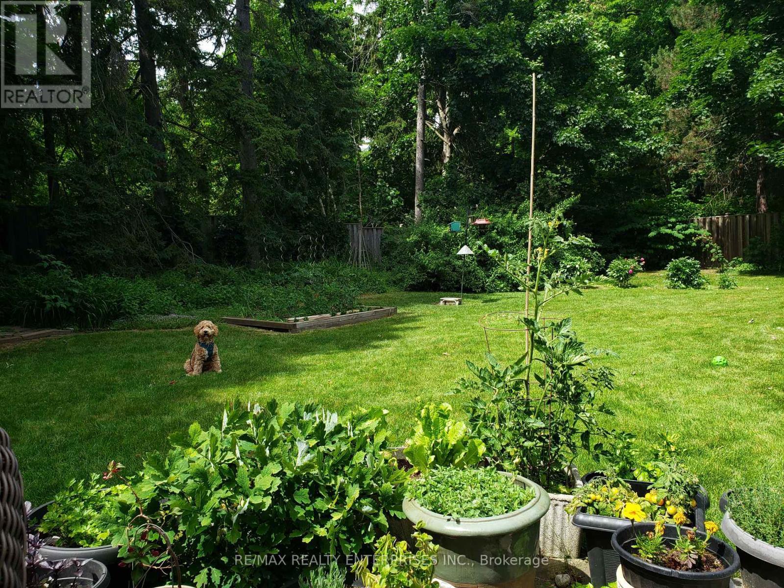 35 Hollyrood Heights Drive, Mississauga, ON - Outdoor