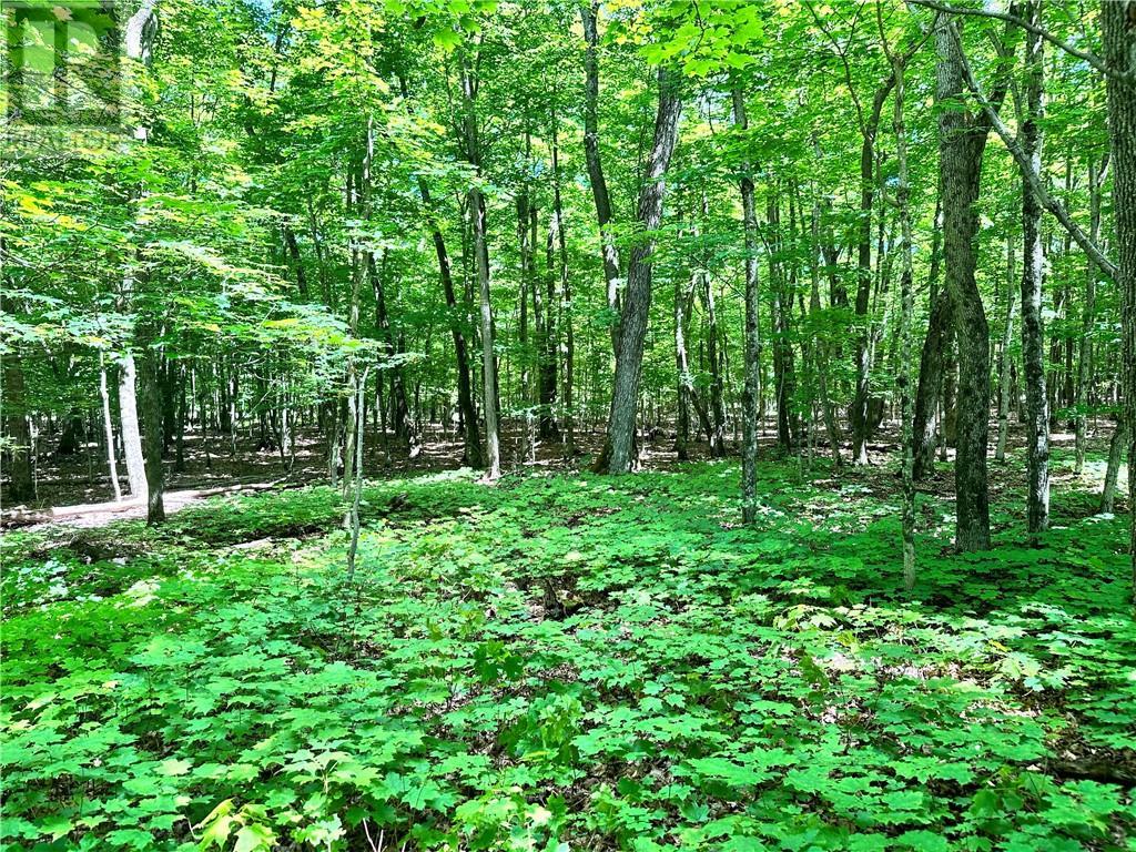 1580 Perivale, Mindemoya, ON