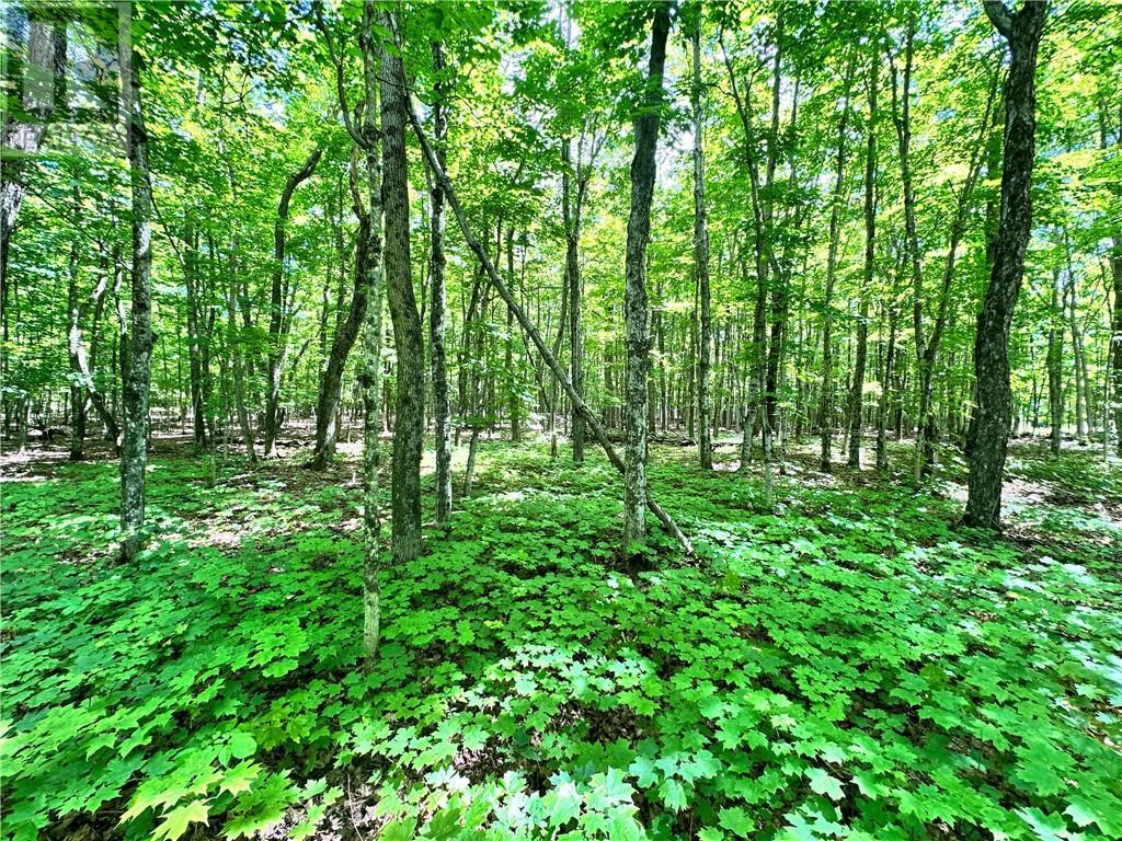 1580 Perivale, Mindemoya, ON