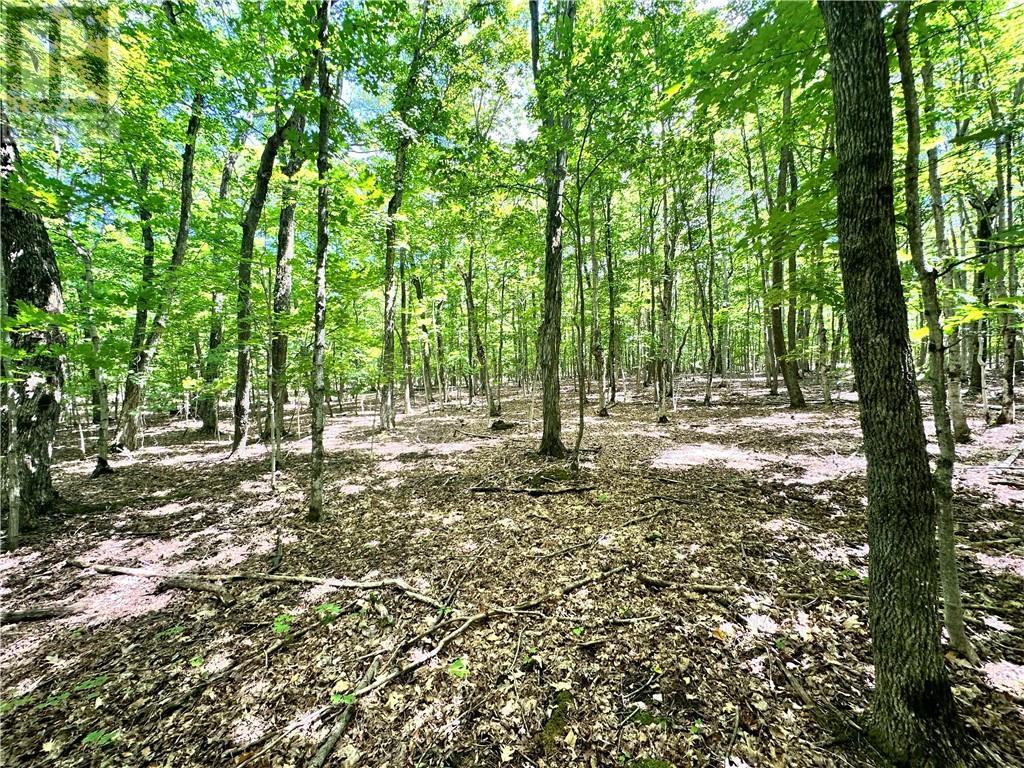 1580 Perivale, Mindemoya, ON