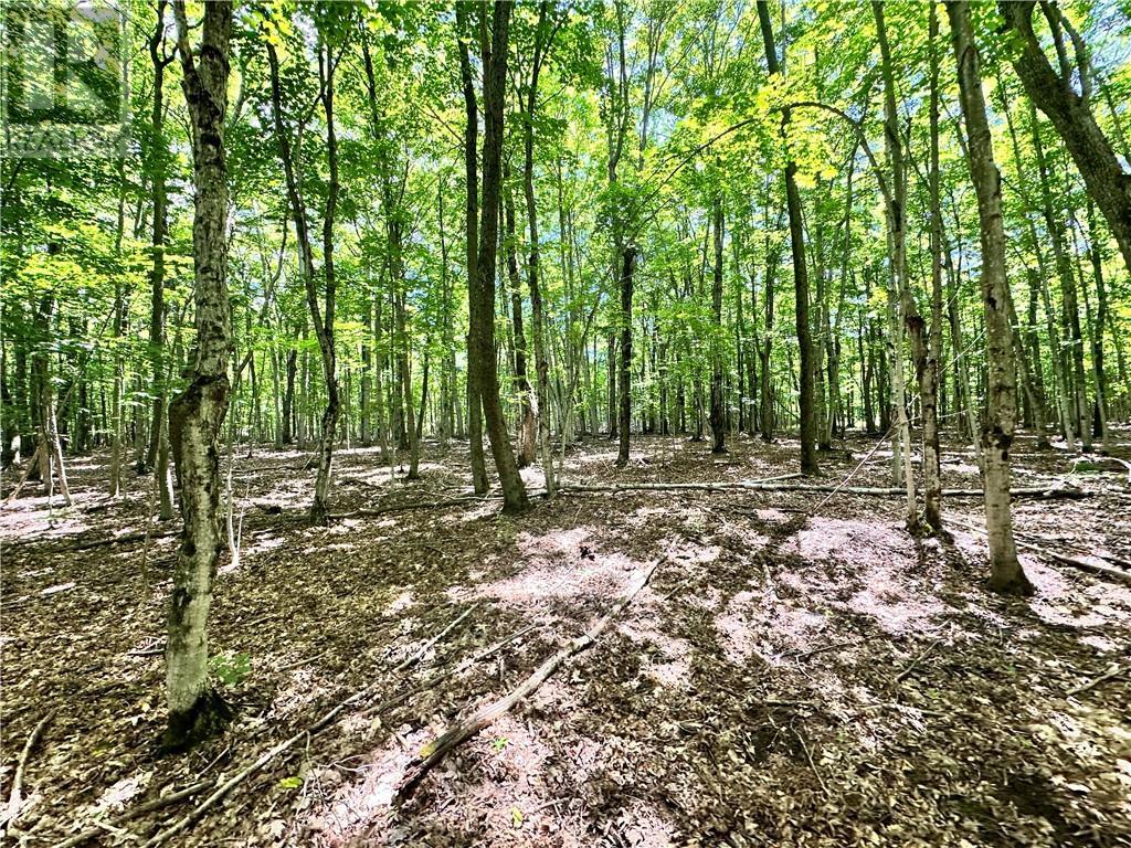 1580 Perivale, Mindemoya, ON