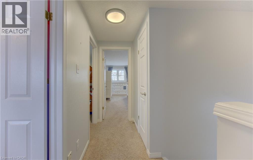 Hallway with carpet flooring, white paneled doors, and a flush mount ceiling light fixture - 512 Hidden Creek Drive, Kitchener, ON - Indoor Photo Showing Other Room