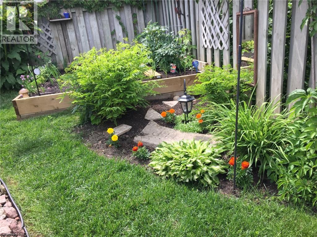 Gardens in Summer - 7 Kilkerran Crescent, Kitchener, ON - Outdoor