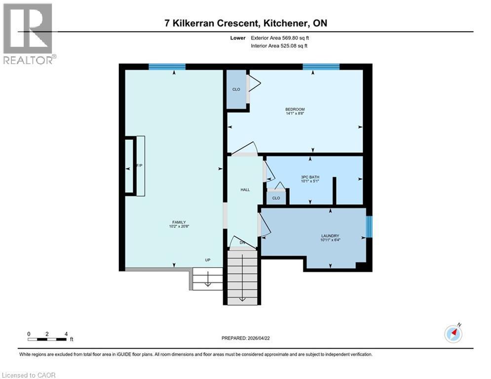 Lower Level - 7 Kilkerran Crescent, Kitchener, ON - Other