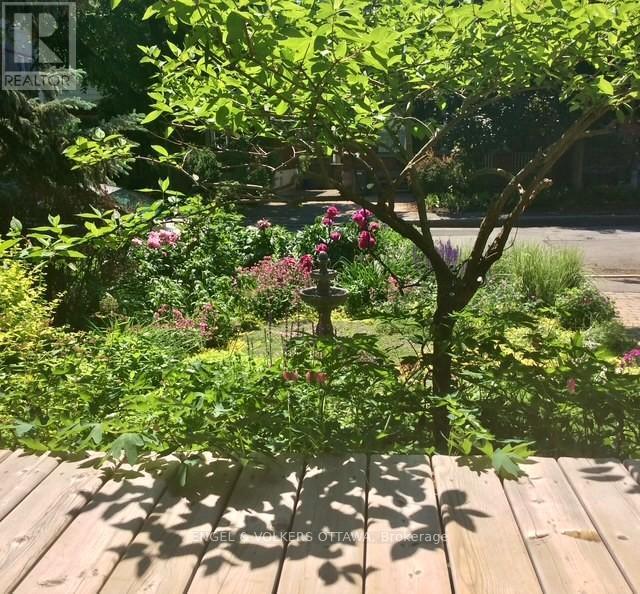 23 Woodlawn Avenue, Ottawa, ON - Outdoor