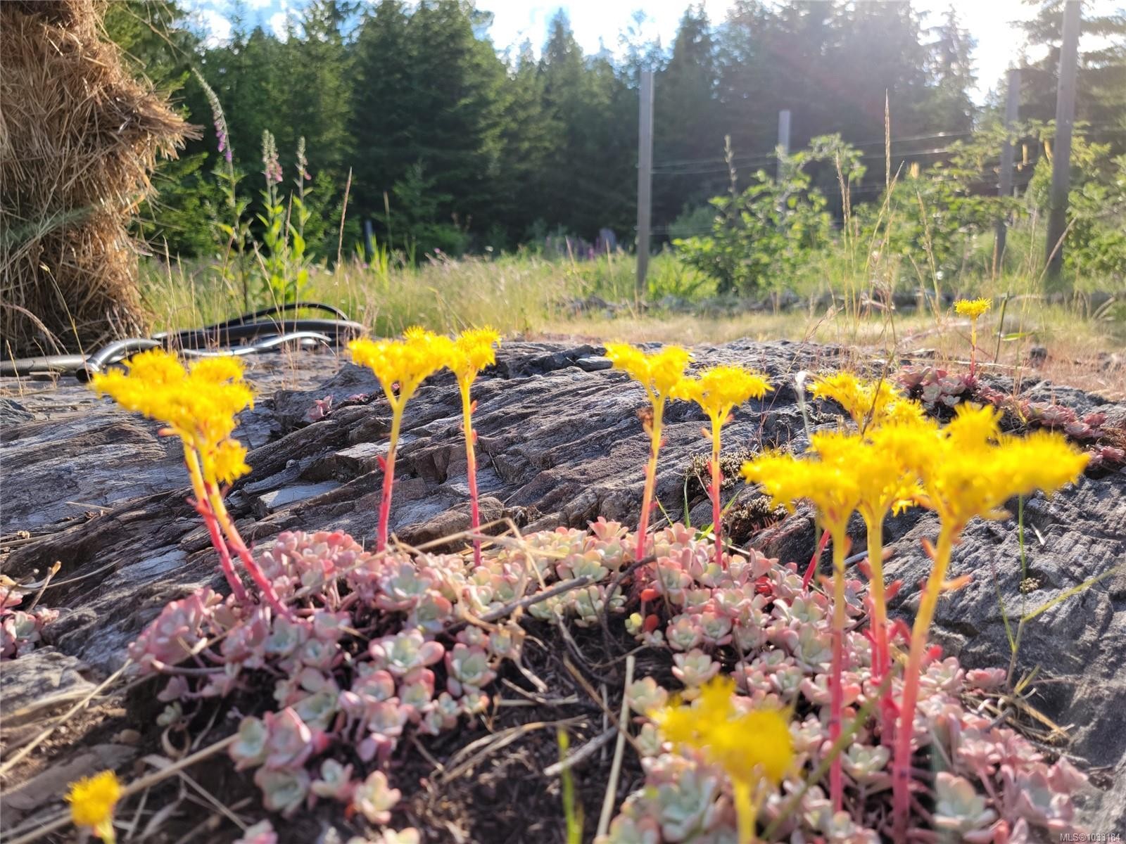 345 Skywater Dr, Salt Spring, BC