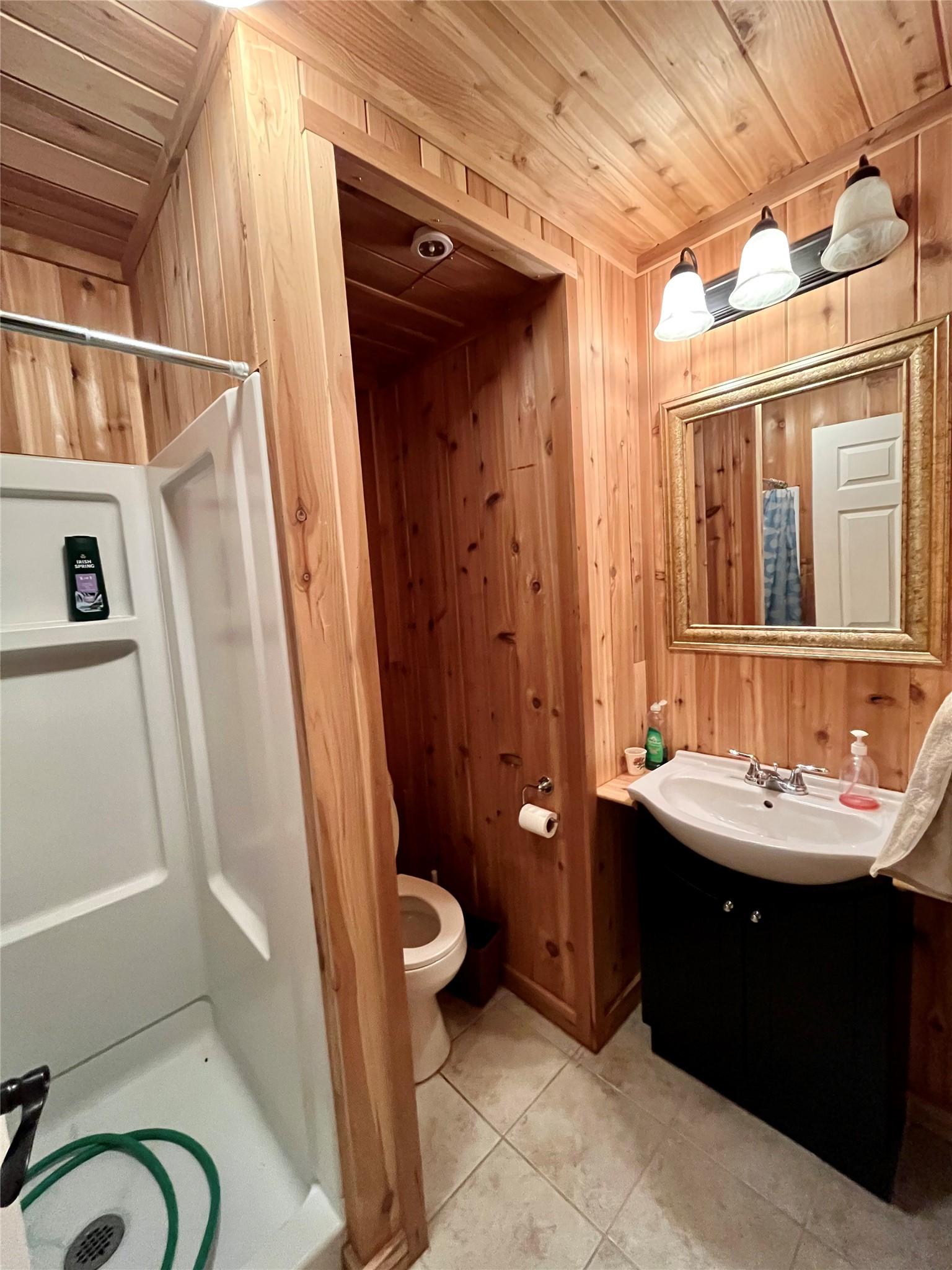 212 Maple Street, Fauquier, BC - Indoor Photo Showing Bathroom