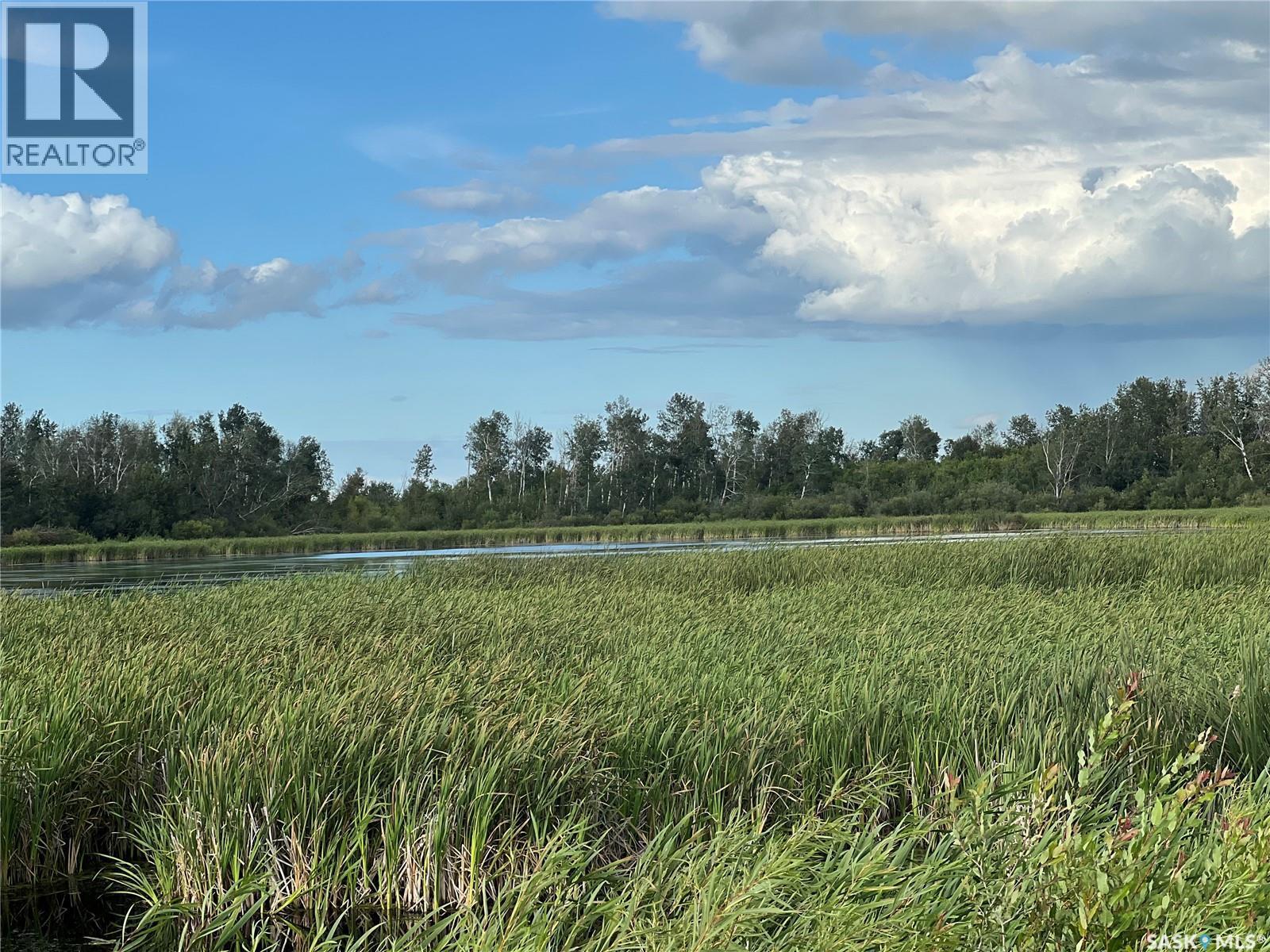 Serhan Acreage, Porcupine Rm No. 395, SK - Outdoor With View