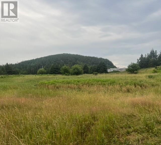 76B Island Drive, Summerford, NL